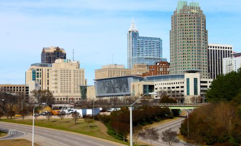 Brian Grubbs-Raleigh Mortgage Group