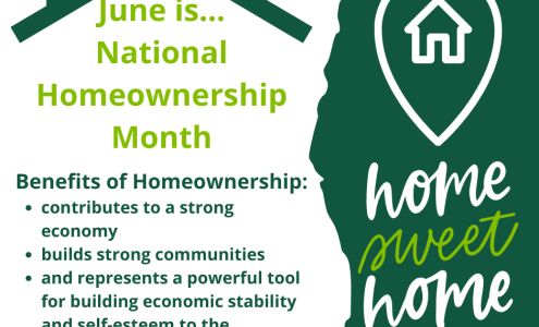 The Michael Mann Team V.I.P. Mortgage, Inc.