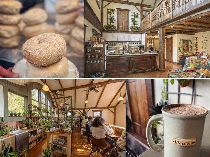 Blossom Cafe Inside Floral & Hardy, 4007 W Skippack Pike, Skippack