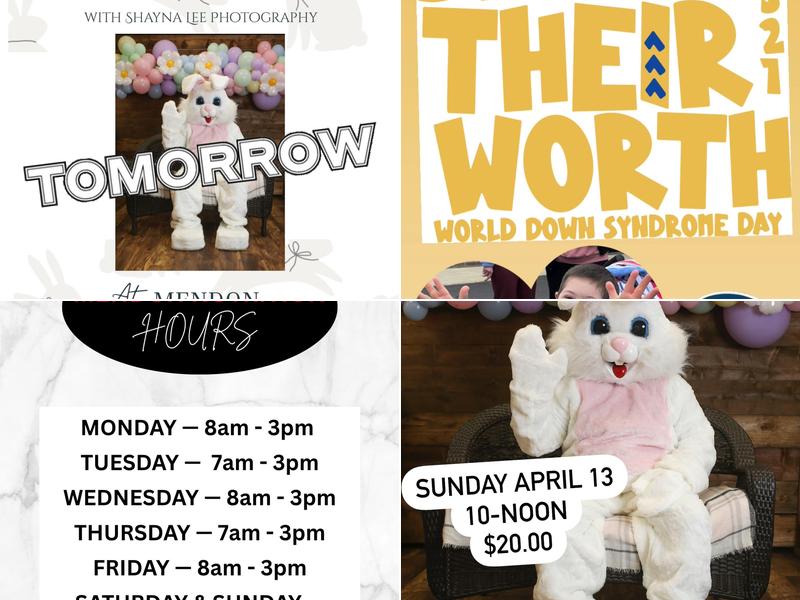 Herbalife Mendon Nutrition