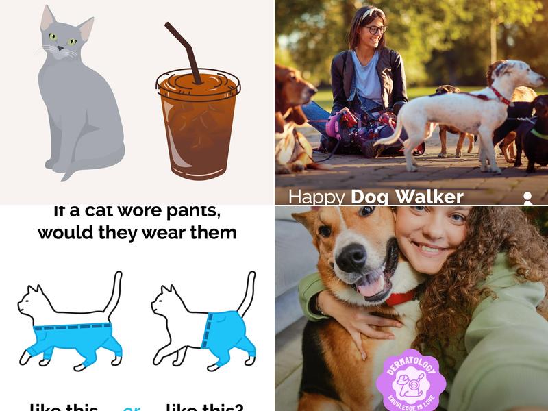 Southwest Veterinary Hospital: Colopy Anika DVM