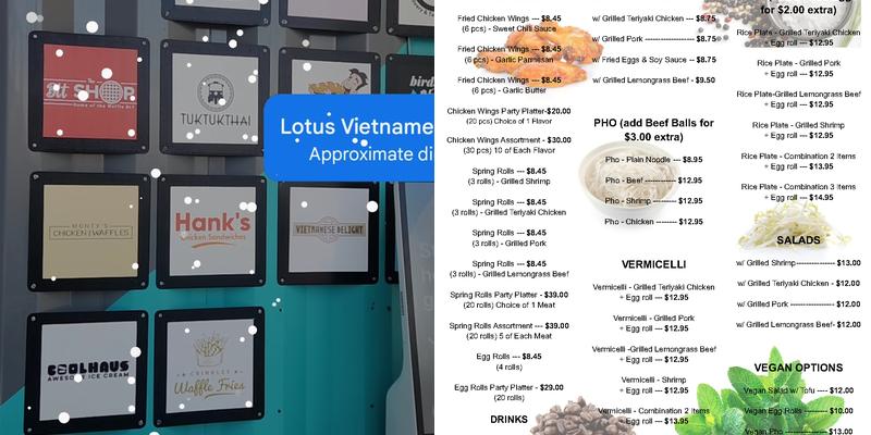 Vietnamese Delight Menu