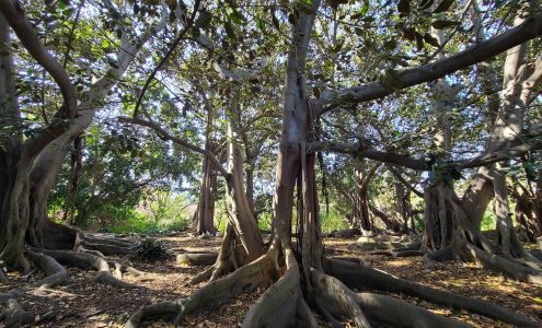 South Coast Botanic Garden Palos Verdes Estates