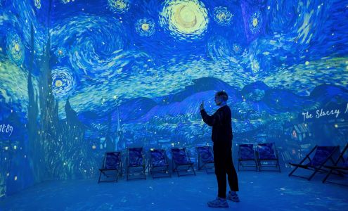Van Gogh: The Immersive Experience - Washington DC
