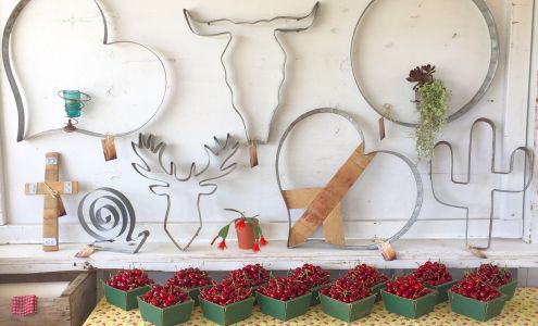 Lavagnino Orchard's Cherry Stand