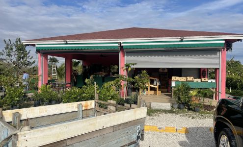 Martha U Pick Strawberry Farm