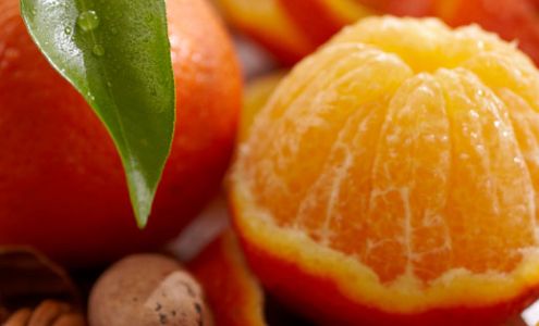 Florida Indian River Groves