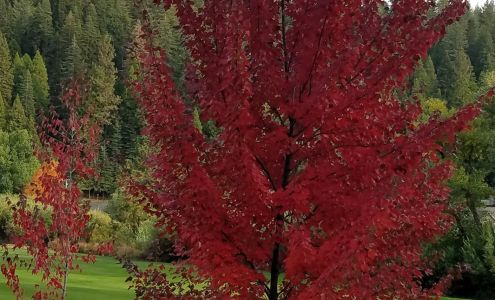 Sequoia Woods Country Club Arnold