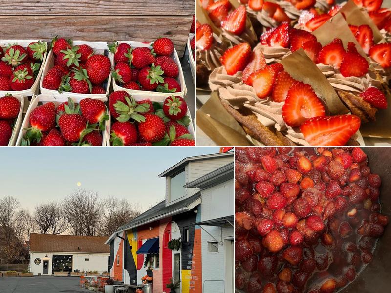 Village Grocery and Refillery