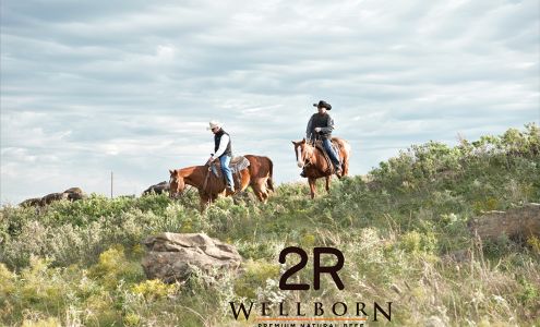 Wellborn 2R Beef Henrietta