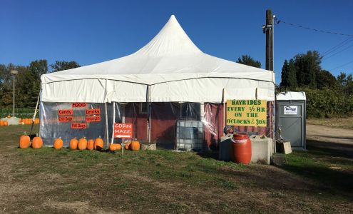 Fazio Farms Corn Maze