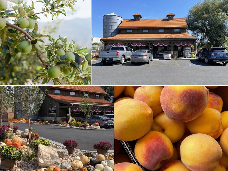 The Barn - Wall Brothers