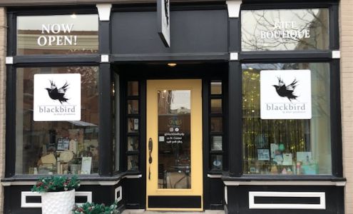 blackbird by dear prudence