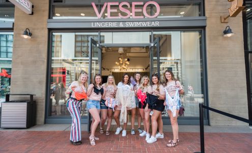 Veseo Lingerie and Swimwear