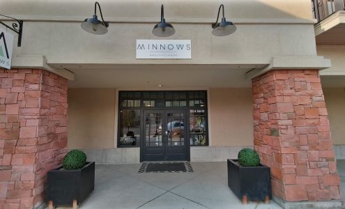 Minnows