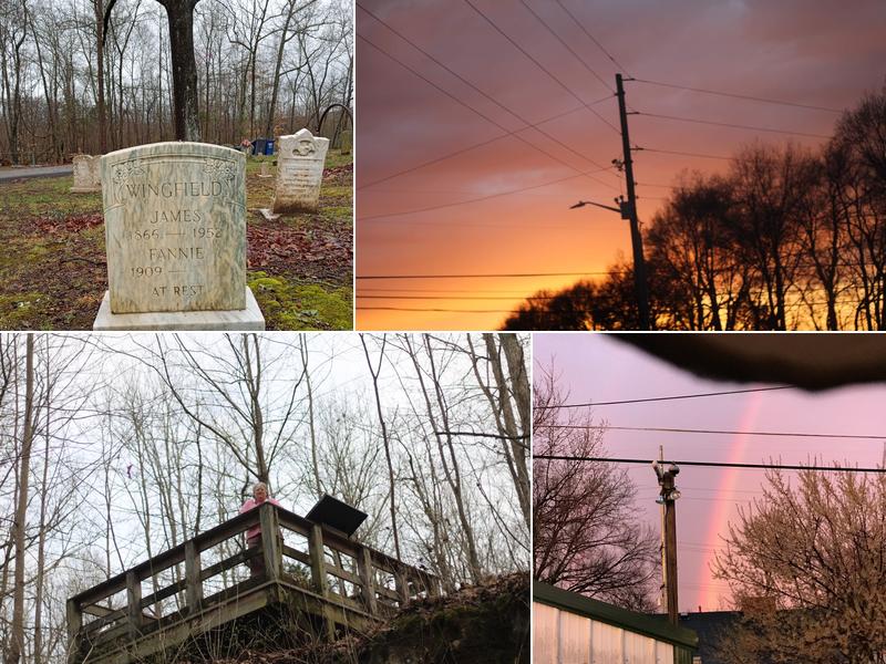 Shauna thomas photography And More