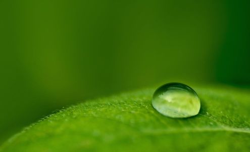 US CLEANERS AND EMBROIDERY