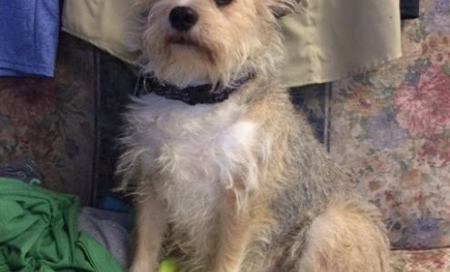 Wingfoot Imprinted Sportswear