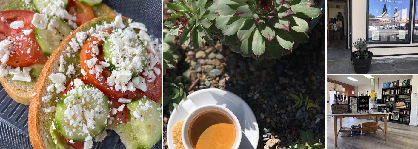 Steady Eddy's Coffee Roasting Room