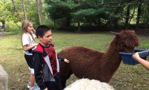 Nashaway Trail Alpacas Stow