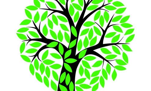 DannysBuyback.com Acceptance Center (Green Discount)