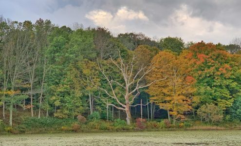 Inn at Fox Hill Farm Pomfret Pomfret Center