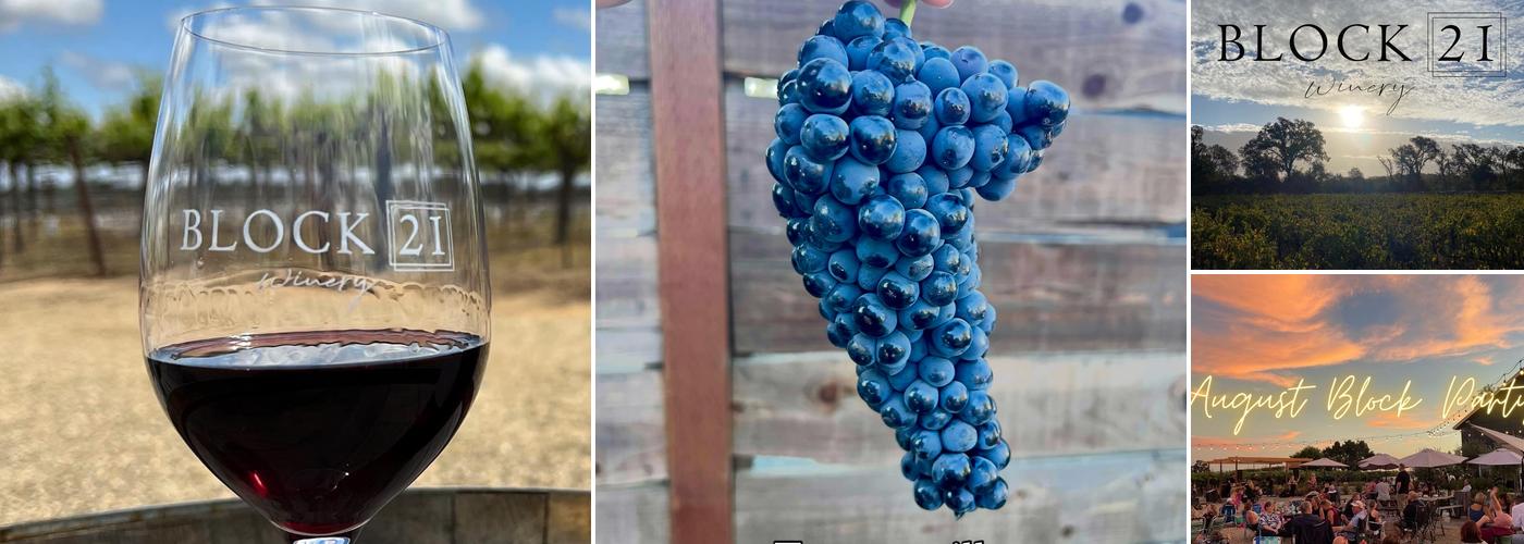 Block 21 Winery