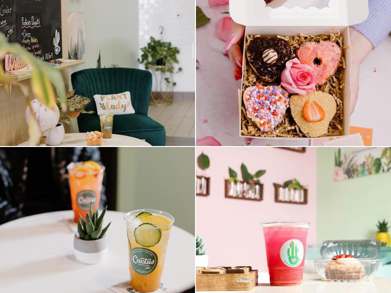 Cactus Nutrition Spot