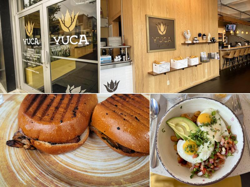 Yuca 700 Fairfield Ave, Bellevue