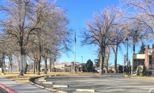 Northern Nevada Adult Mental Health