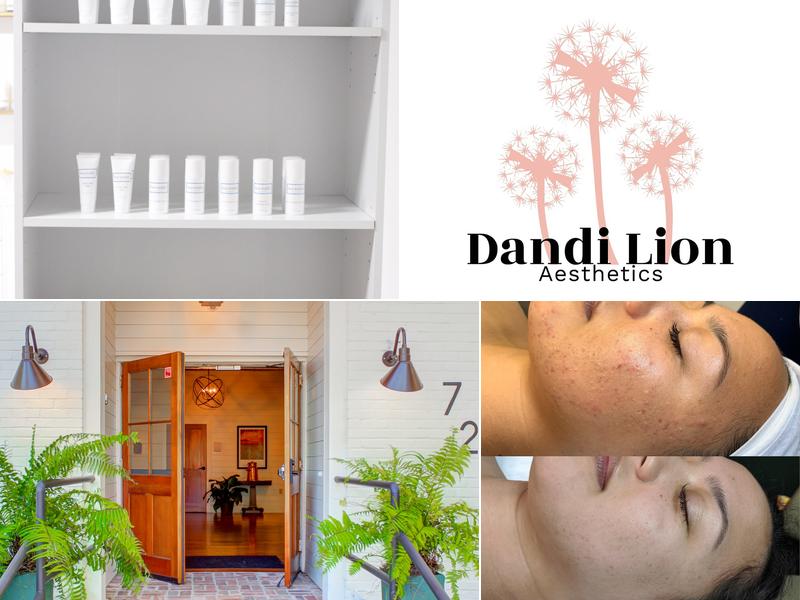 Dandi Lion Aesthetics