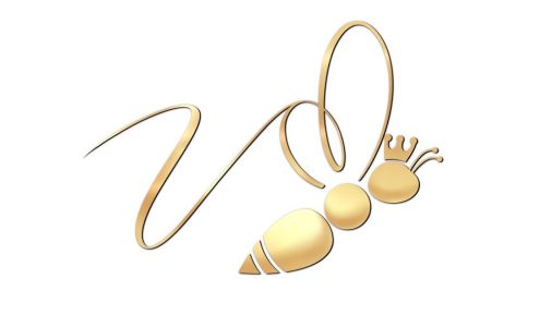 Queen V Wax Studio 107 Woodward Pl, San Antonio Texas 78204