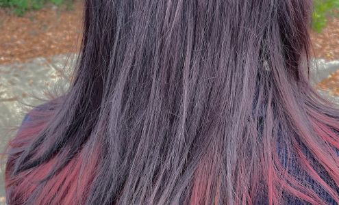 The Color Cabinet Salon