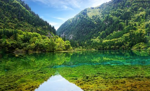 Doctors in Princeton