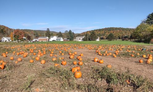 Whistle Pig Pumpkin Patch 3369 PA-29, Noxen Pennsylvania 18636