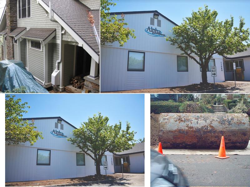 Alpha Environmental Services