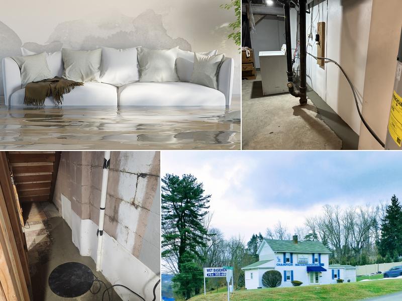 Champion Waterproofing