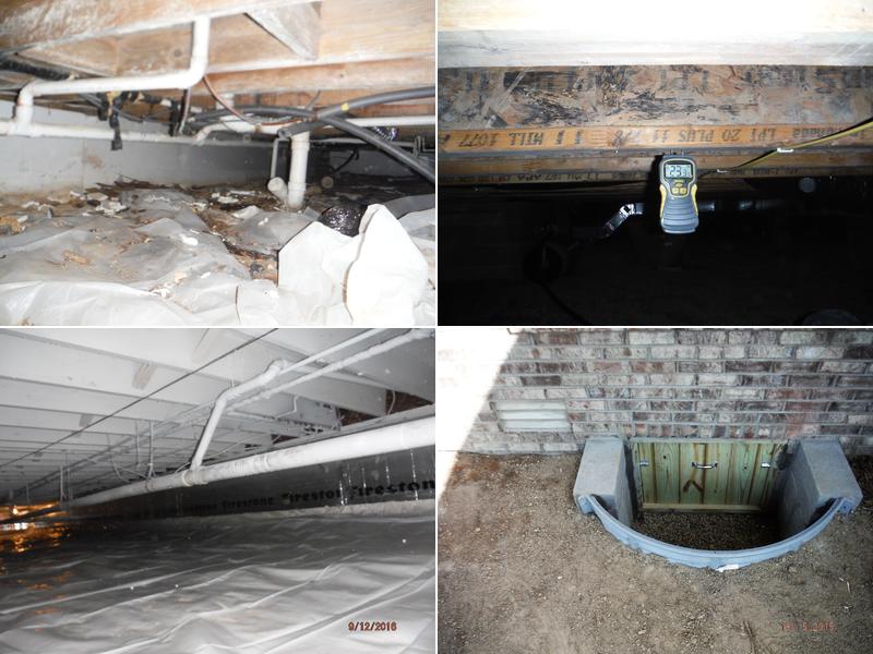 Crawlspace Doctor, Avon In to Terre Haute