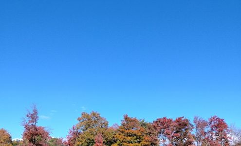 Kalkaska Window & Glass 3500 Inwood Cir, Kalkaska Michigan 49646