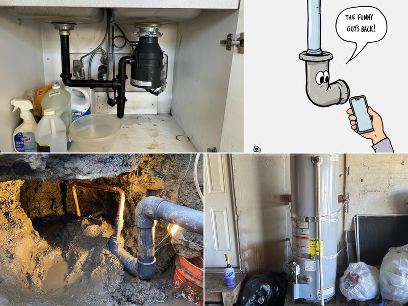 Bigg Tree Rooter & Plumbing