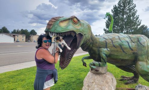 Ahlvers Plumbing 1595 Ave F, Ely Nevada 89301