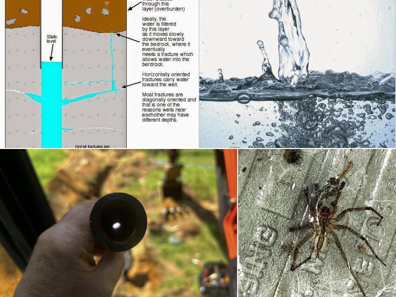 Aqua Specialties LLC