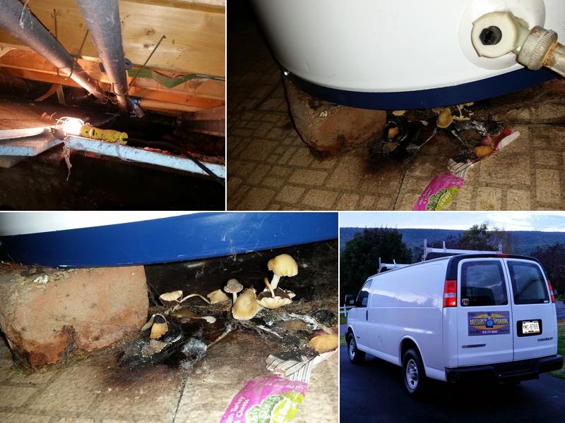 Bressler's Plumbing (PA HIC # 062122