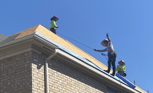 Lifeline Roofing Systems