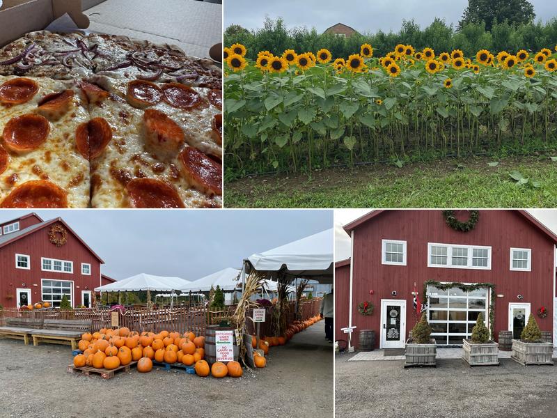 Cider Barn Taproom at Carlson Orchards