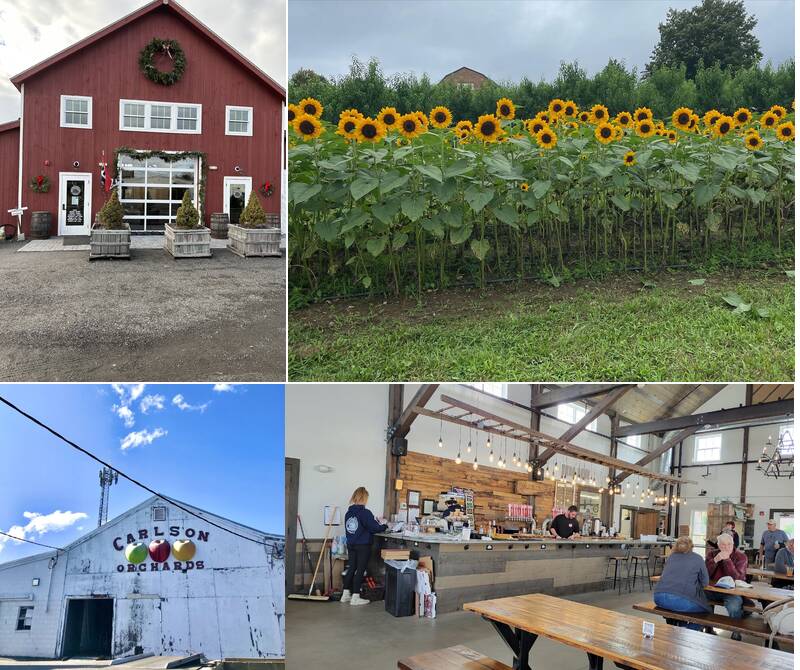 Cider Barn Taproom at Carlson Orchards