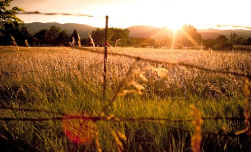 RE/MAX Alliance - Fort Collins South Office