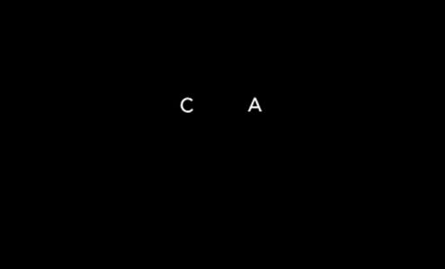 Caicos Caribbean Lines LLC