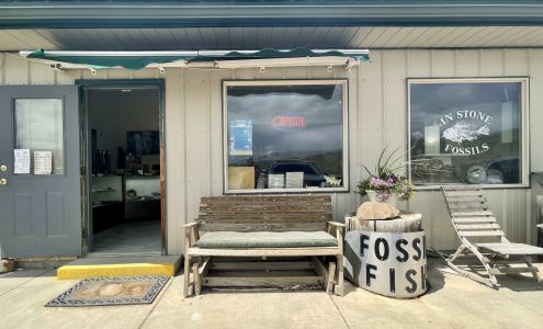 In Stone Fossils Kemmerer