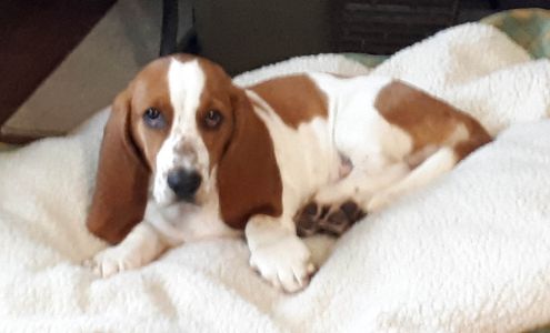 Colborne TV Service Center Inc. Sydenham